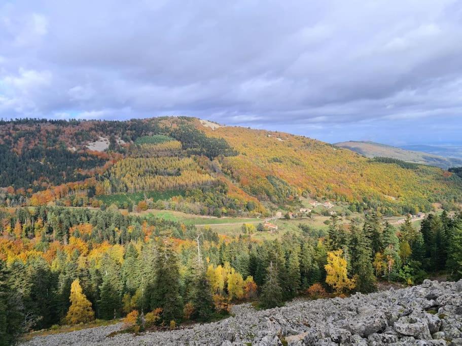 Gite De 70M² Avec Vue Sur Le Massif Du Pilat Clonas-sur-Vareze Eksteriør billede